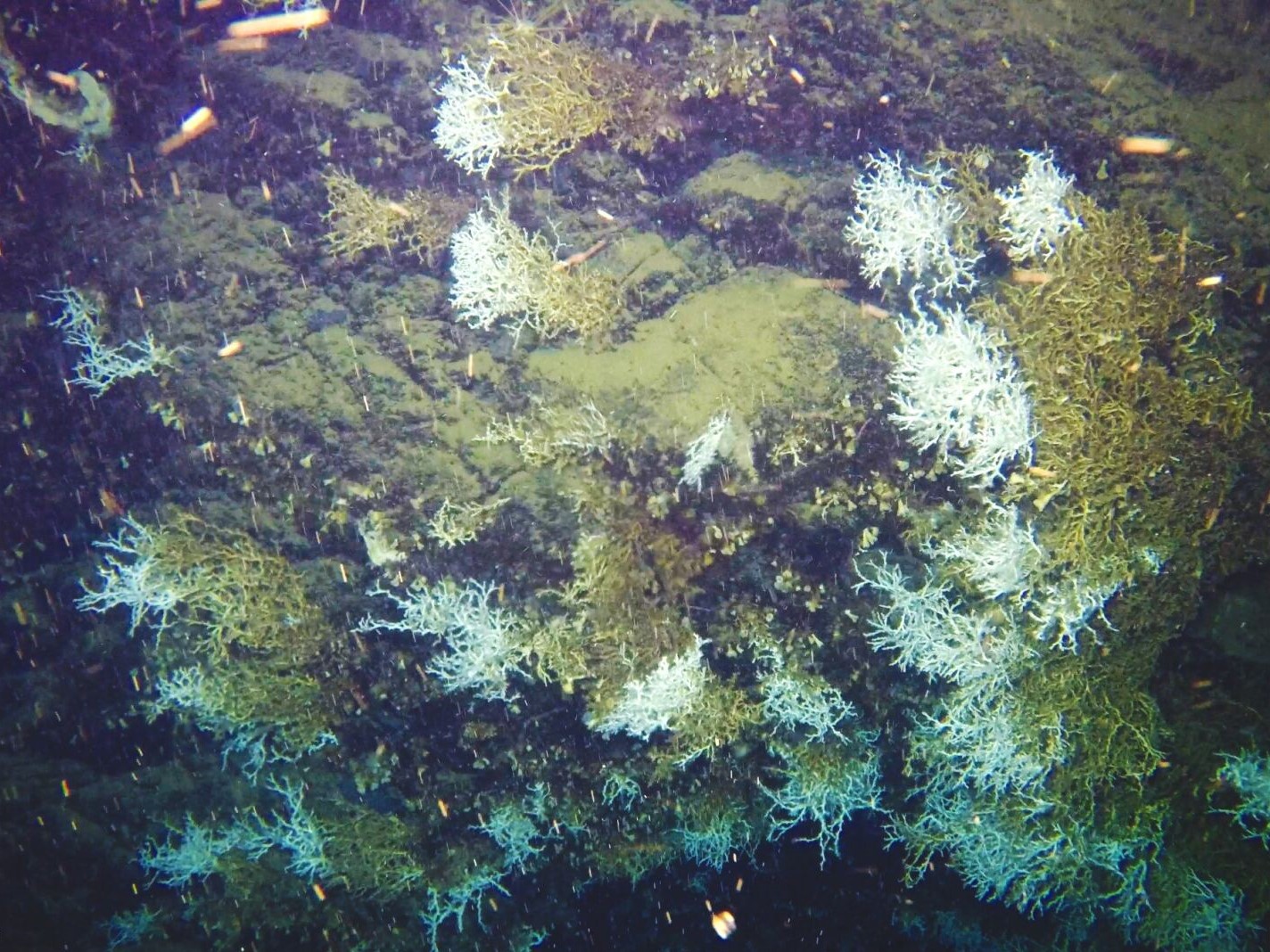 On-site and remote work across the UK